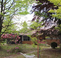 Carawatha - Pubs and Clubs