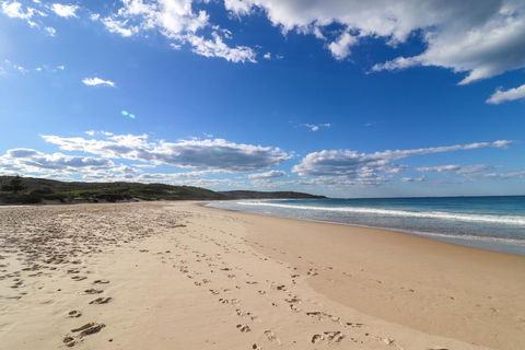 Catho Cottage - Pubs and Clubs 2