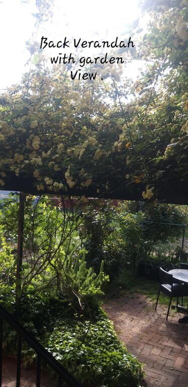 CBD Home Rinaldi's - Pubs and Clubs 3