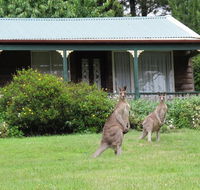 Cedar Lodge Cabins - Pubs and Clubs