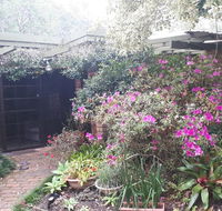 Charming country house close to Grafton - Pubs and Clubs