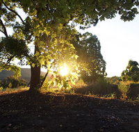 Clarendon Forest Retreat - Pubs and Clubs