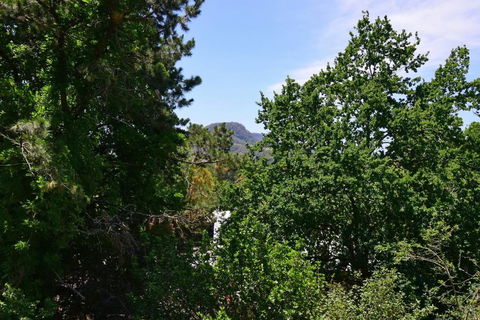 Cloudsong Chalet 4 - Close To The Village Centre! - Pubs and Clubs 3