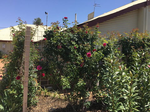 Club Boutique Hotel Cunnamulla - Pubs and Clubs 2