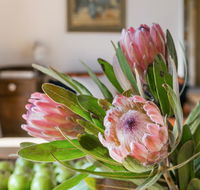 Cooee Cottage - Pubs and Clubs