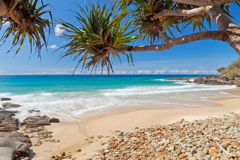 Coolum Classic Beach Shack - Pet Friendly - Pubs and Clubs 0