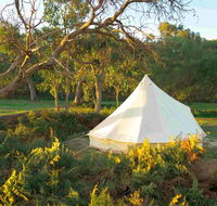 Coonawarra Bush Holiday Park - Pubs and Clubs