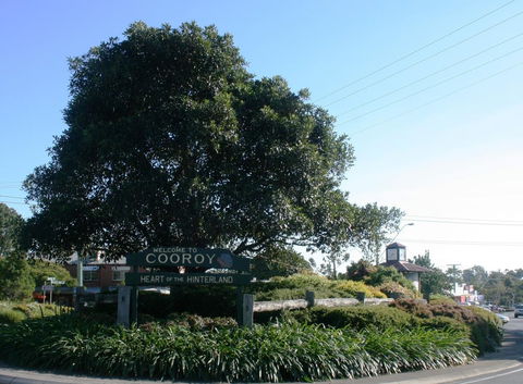 Cooroy Luxury Motel Apartments - Pubs and Clubs 2