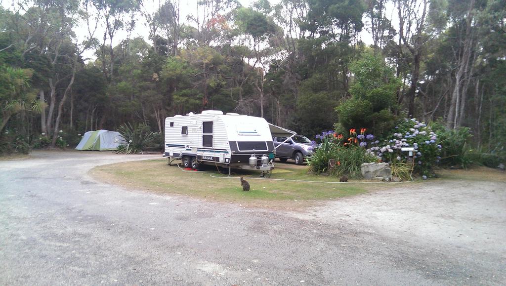 Crayfish Creek TAS Pubs and Clubs