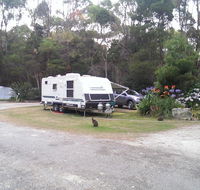 Crayfish Creek Van  Cabin Park - Pubs and Clubs