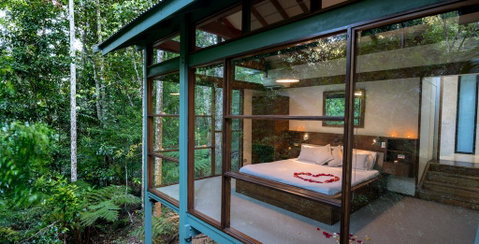 Crystal Creek Rainforest Retreat - Go Out 3