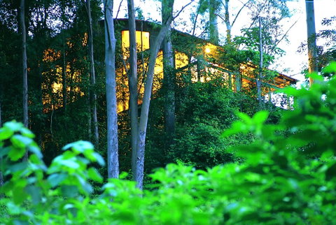 Crystal Creek Rainforest Retreat - Go Out 1