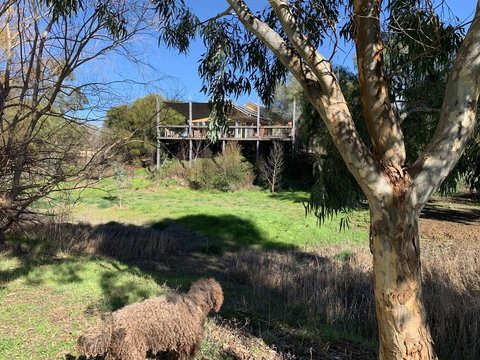 Cullen House - Pubs and Clubs 1