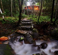 Daintree Cascades - Pubs and Clubs