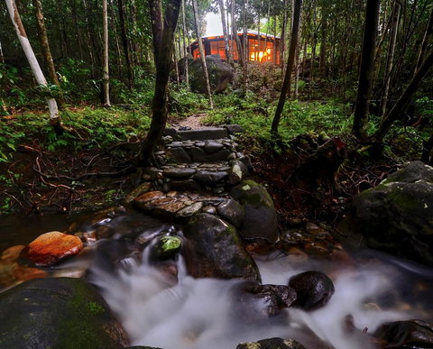Daintree Cascades - Pubs and Clubs 0