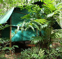 Daintree Crocodylus - Pubs and Clubs