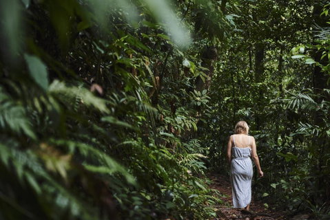 Daintree Ecolodge - Pubs and Clubs 2