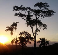 Daintree Holiday Homes - Yurara - Pubs and Clubs