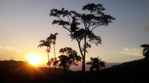 Daintree Holiday Homes - Yurara - Pubs and Clubs 0