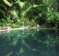 Daintree Rainforest Retreat Motel - Pubs and Clubs