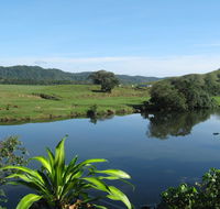Daintree Riverview Lodges - Pubs and Clubs
