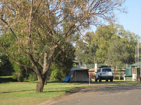 Dalby Tourist Park - Pubs and Clubs 3