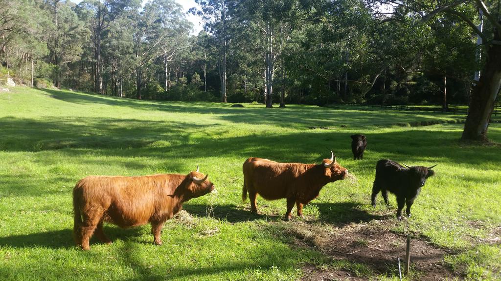 Kenthurst NSW Go Out