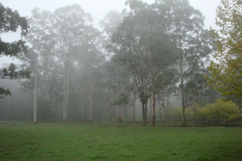 Dingley Dell - Go Out 2