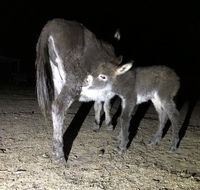 Donkey Tales Farm Cottages - Pubs and Clubs