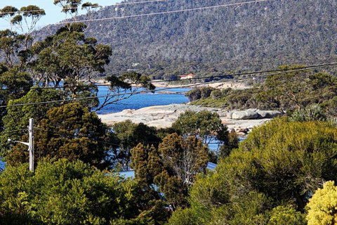 Douglas Street - Pubs and Clubs 1