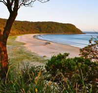 Durras Lake North Holiday Park - Pubs and Clubs