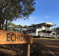 Echidna on Bruny - Go Out