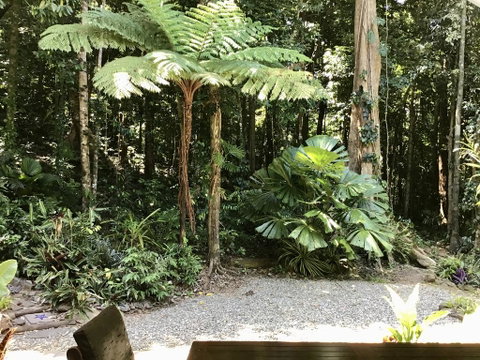 Forest Views Daintree - Pubs and Clubs 0