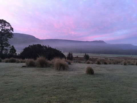 Forest Walks Lodge - Pubs and Clubs 1