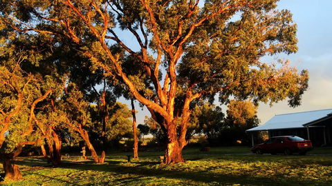 French Island Cottage - Pubs and Clubs 1