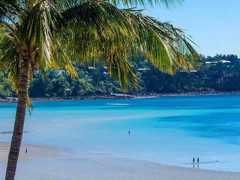 Fully Renovated Frangipani Beach Front Apartments - Pubs and Clubs 2