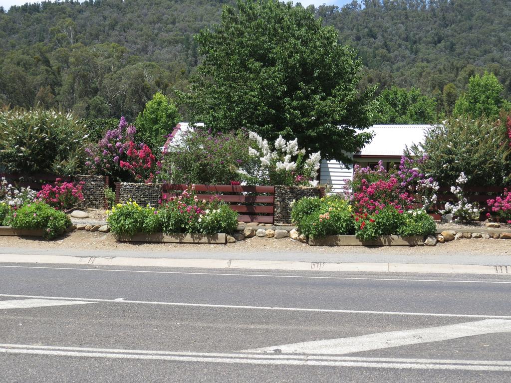 Bright VIC Pubs and Clubs