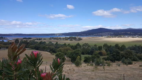 George River Park (House, 100 Acres, Animals, Views) - Go Out 2