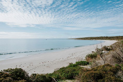 Glamping @ September Beach, Lincoln National Park - Pubs and Clubs 2
