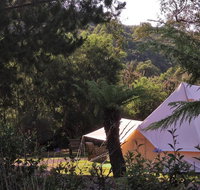 Glamping at Zeehan Bush Camp - Pubs and Clubs