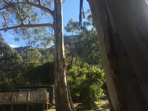 Grampians Nest - Pubs and Clubs 0