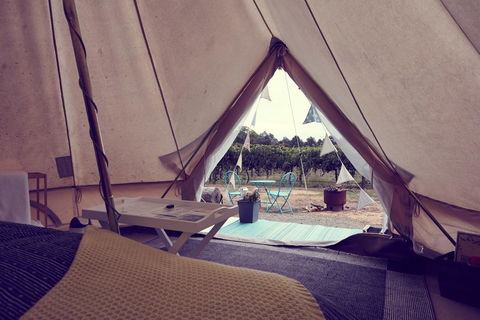 Grapevine Glamping - Pubs and Clubs 3