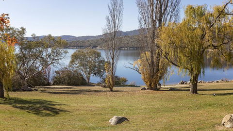 Grey Kangaroo- On Lake Jindabyne Foreshore - Pubs and Clubs 1