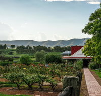 Hanging Tree Wines - Pubs and Clubs