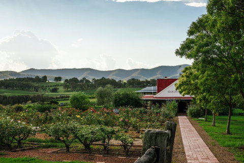 Hanging Tree Wines - Pubs and Clubs 0