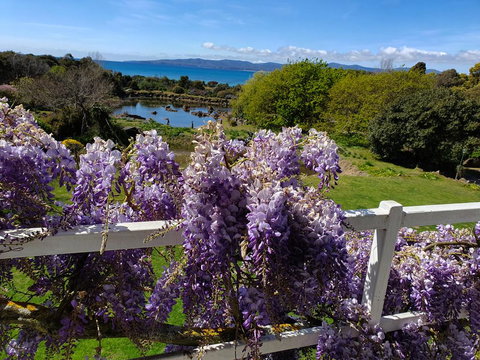 Hawley House - Go Out 3