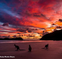 Heather's Mica Cottage - Pubs and Clubs