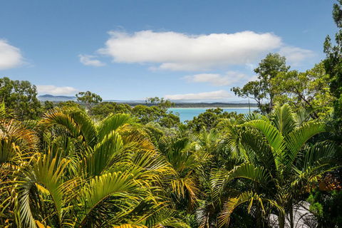 Hidden Rainforest Oasis, Little Cove - Pubs and Clubs 2