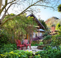 Hills End Camellia - Pubs and Clubs