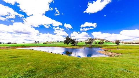 Hillview Farmstay - Pubs and Clubs 0